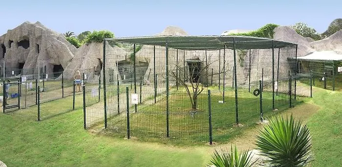 Selectum Noa فندق 5*